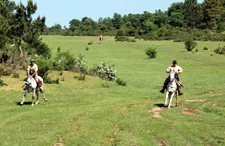 Spain-Central Spain-El Cid Discovery Ride in Castile